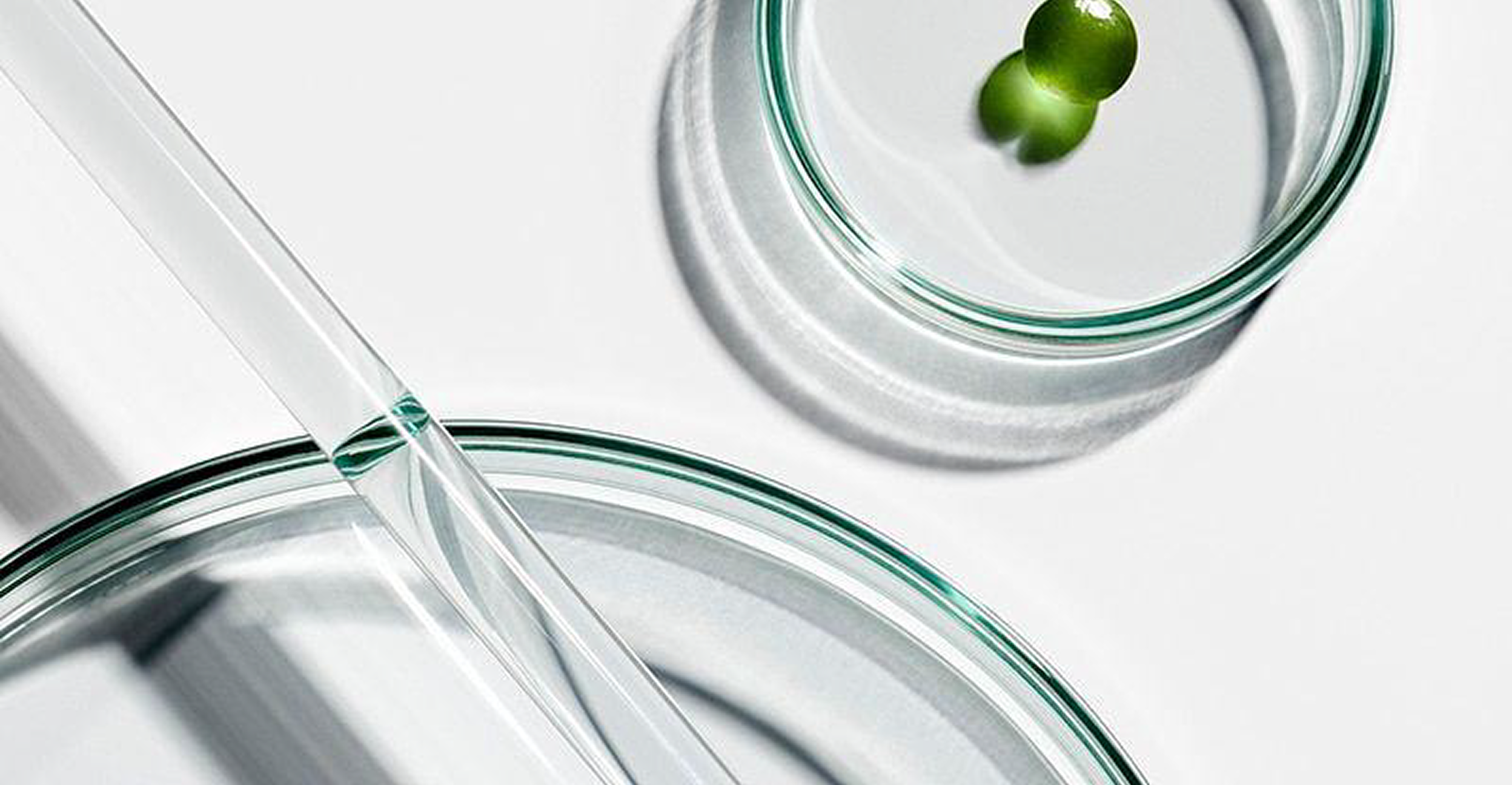 Laboratory pipette and glass dishes beside green capsules on a white surface