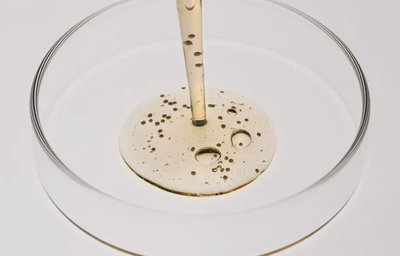 Pipette dropping formula into a petri dish