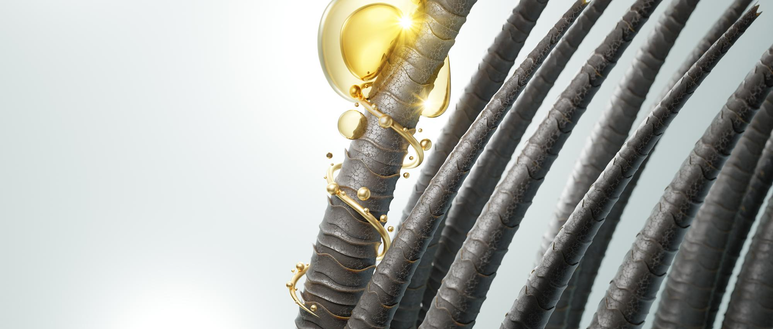 Close-up of dark hair strands wrapped with golden liquid, illustrating scalp health and hair growth research