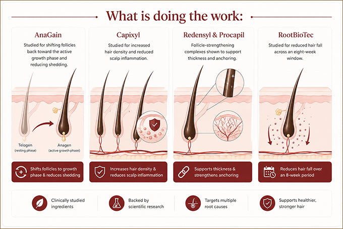 Infographic titled What is doing the work, showing ingredients targeting shedding, density and hair fall