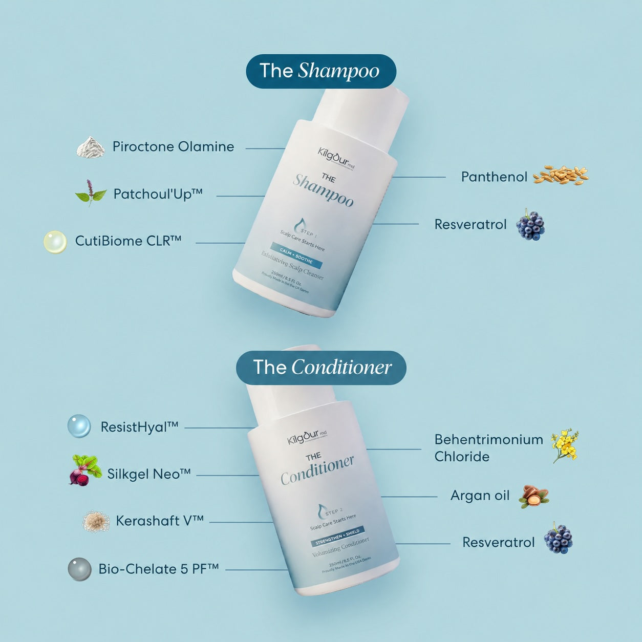 Illustration showing The Shampoo and The Conditioner with labeled key ingredients